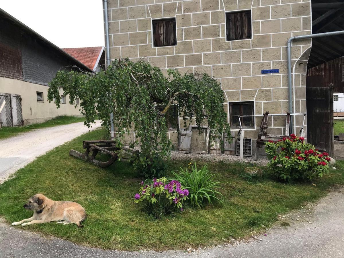 Pferdehof-Dietzsch Tittmoning Exterior foto